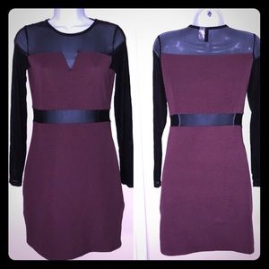Maroon Black Mesh Dress